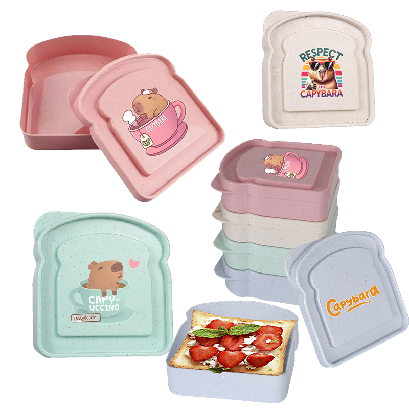 카피바라 샌드위치 음식 보관 케이스 컨테이너 샐러드 과 - Food Storage With Colander 리뷰 및 가격