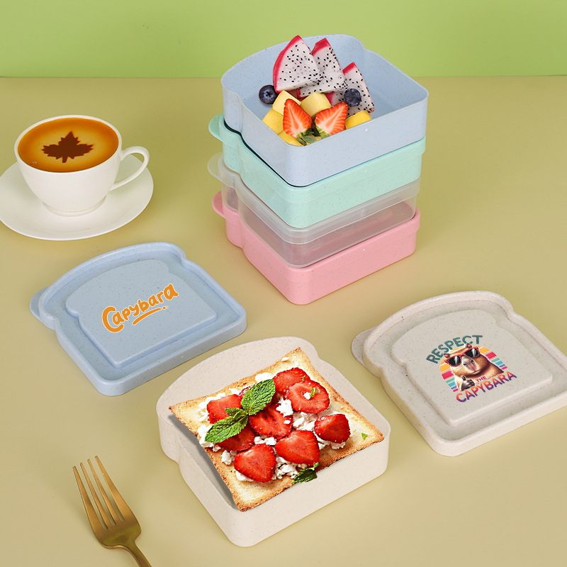 카피바라 샌드위치 음식 보관 케이스 컨테이너 샐러드 과 - Food Storage With Colander 리뷰 및 가격